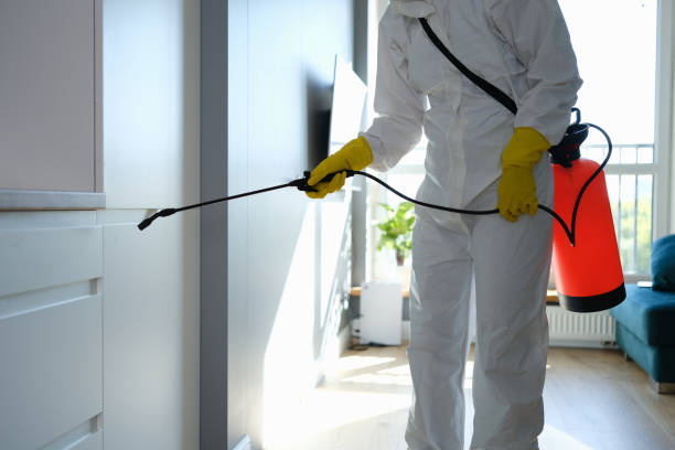 Best Commercial Mold Removal  in West Monroe, LA